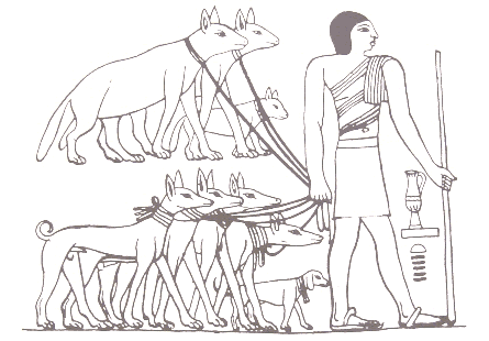 Die Vorfahren von Hund Buffi.